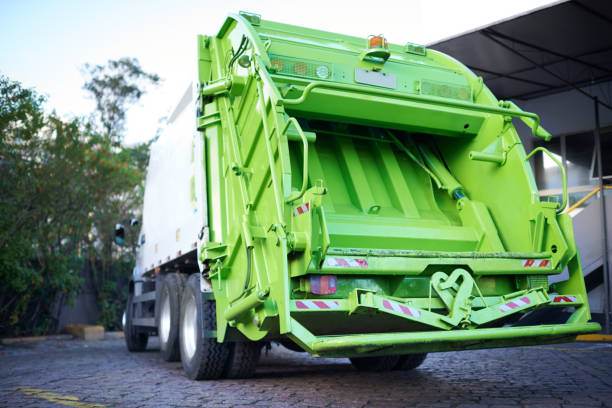 Yard Cleanup Services in Rio Grande City, TX